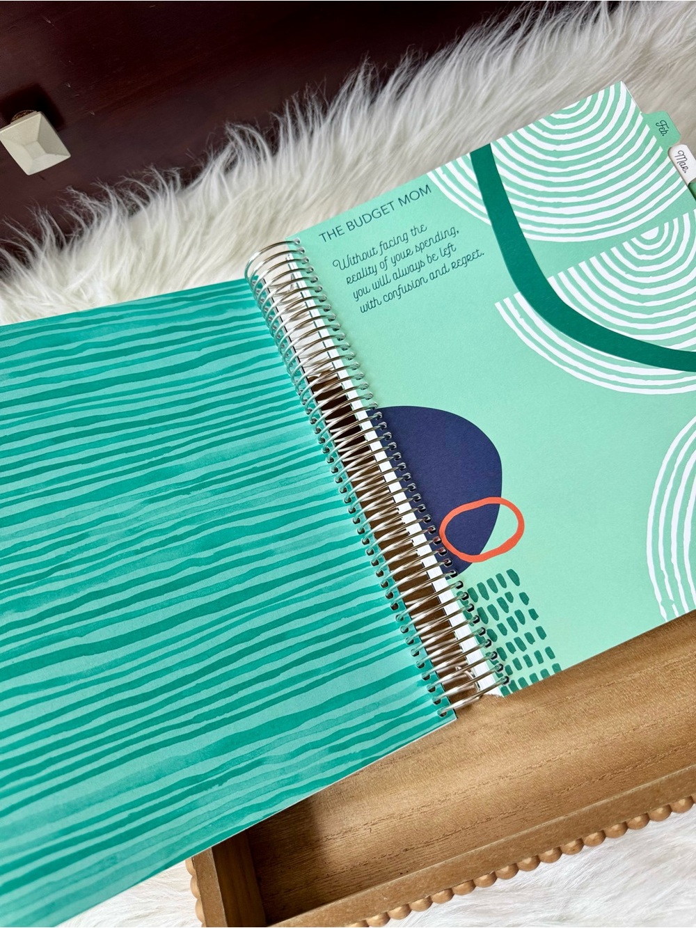 The Budget Mom Budget By Paycheck Workbook Spiral Planner With Stickers - Picture 9 of 13